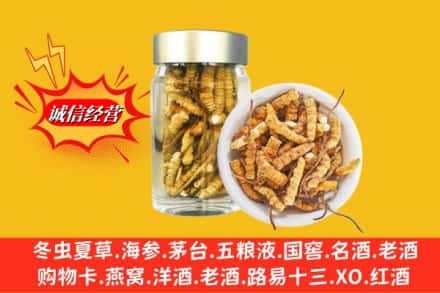 娄星区名酒回收散虫草.jpg